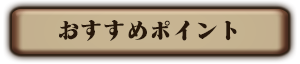 おすすめポイント