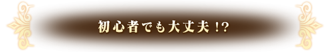 初心者でも大丈夫！？