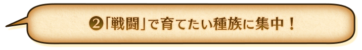②戦闘