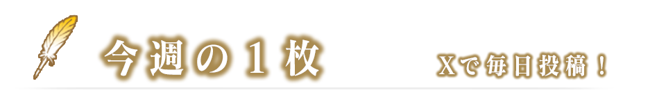 今週の1枚