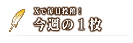 今週の1枚